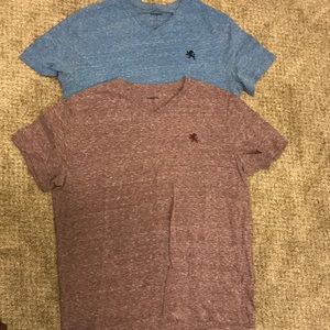 Express V neck t shirt